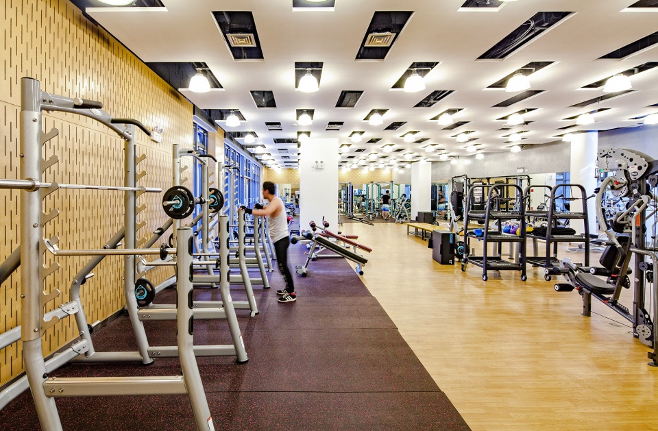 高校体育馆设计,大学体育馆设计效果图