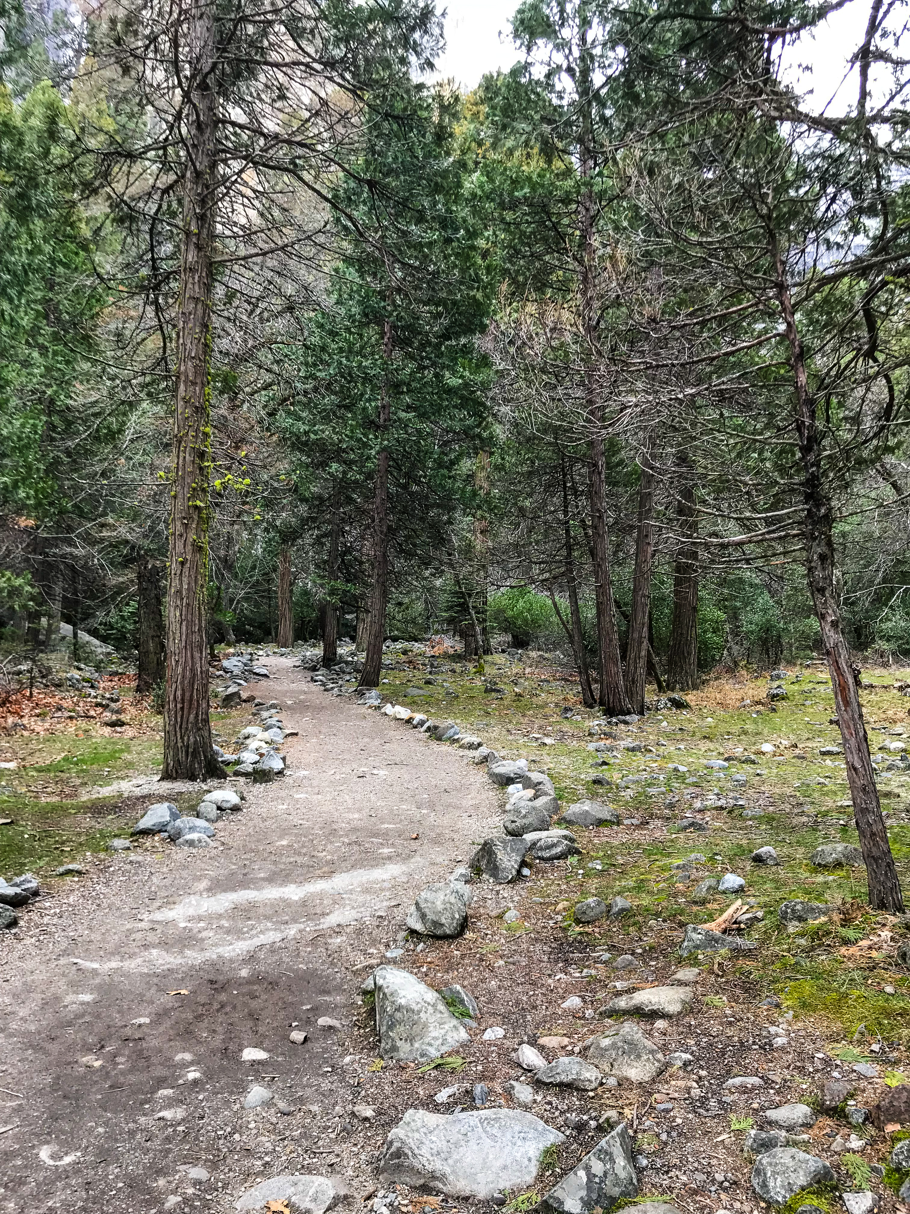 优胜美地国家公园,优胜美地国家公园1935