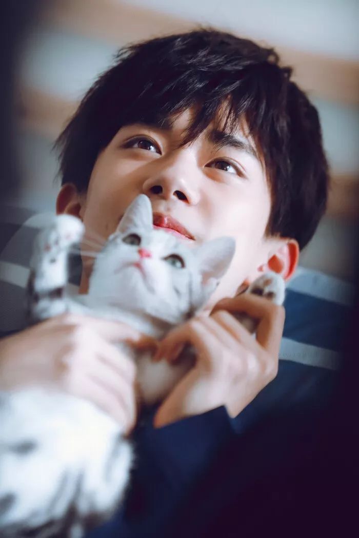 易烊千玺从小鲜肉到晋升影帝,易烊千玺的流量惊呆老前辈