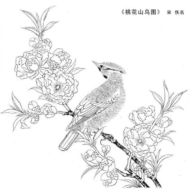 工笔白描底稿高清大图,宋人工笔画白描图片