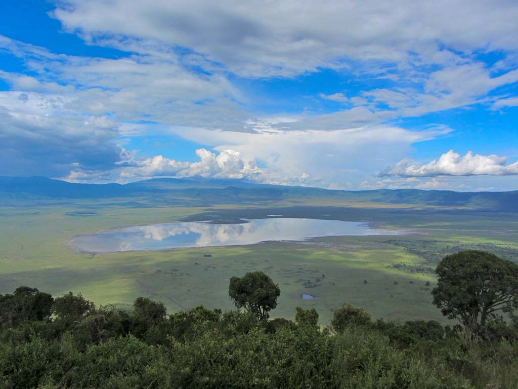 人类为什么要受到法律的约束,人类为什么让动物买单