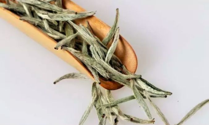 白茶红茶绿茶黑茶什么意思,绿茶红茶黑茶白茶哪个对身体最好