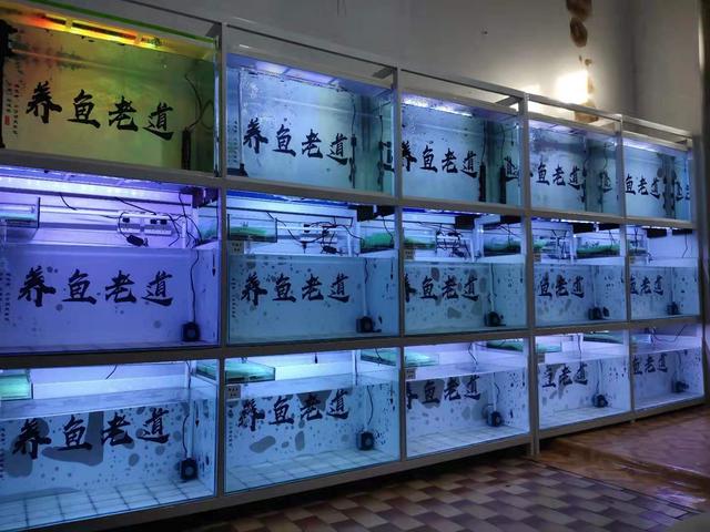 不贪小便宜能上当吗,不贪便宜不会上当受骗