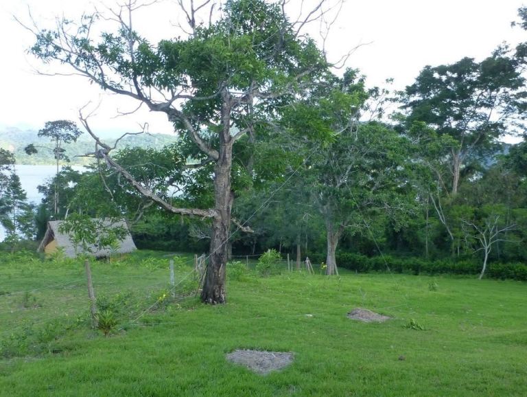 走近神奇的电波世界|业余无线电爱好者使用新旧技术在全球通联