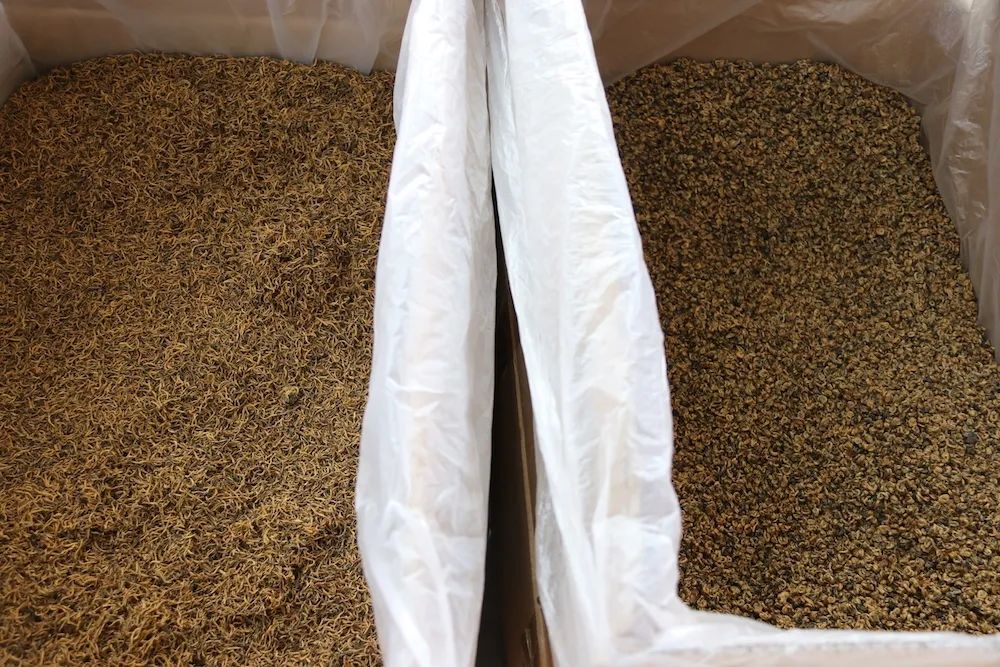 早上6点，去蒙顶山买茶是一种什么体验？