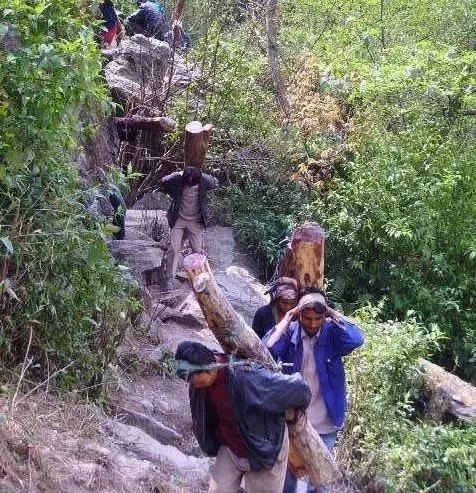 印度小叶紫檀高密野生料子,印度小叶紫檀高密度老料