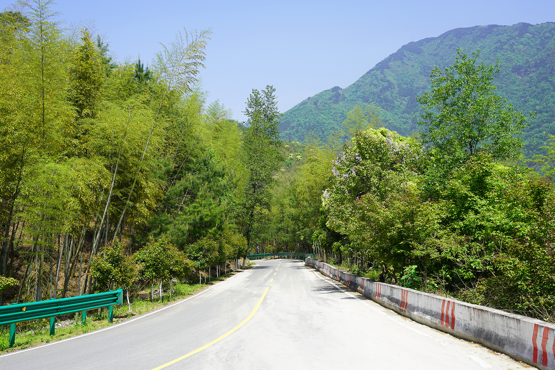 景德镇茶之源瓷之都,景德镇浮梁茶文化