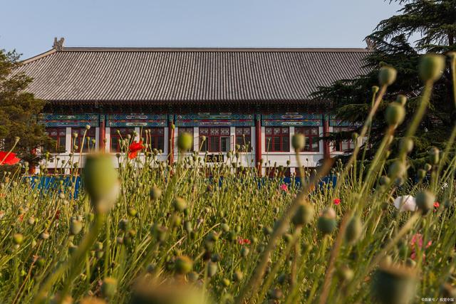 北京上海985和211大学有哪几所,北京和上海哪个环境更好