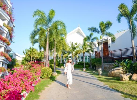 生蚝之乡广东阳江,生蚝之乡鲜蚝