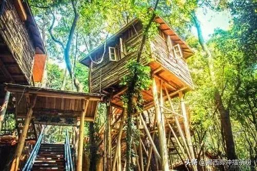 广州周边小众好玩的地方推荐,广州本地附近好玩的古风景点热门