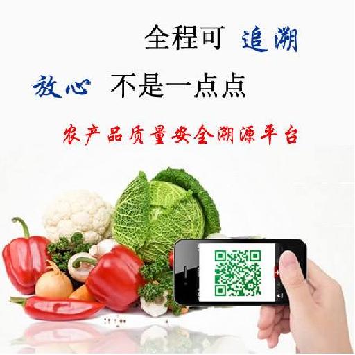 农村电商物流打通电商最后一公里,农村电商发展助力乡村振兴