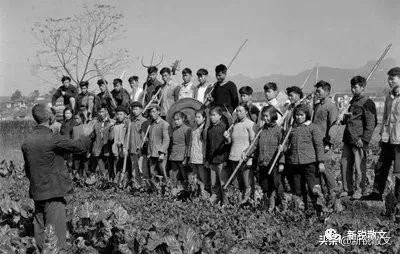 回忆一下生产队年代,回忆生产队的年代