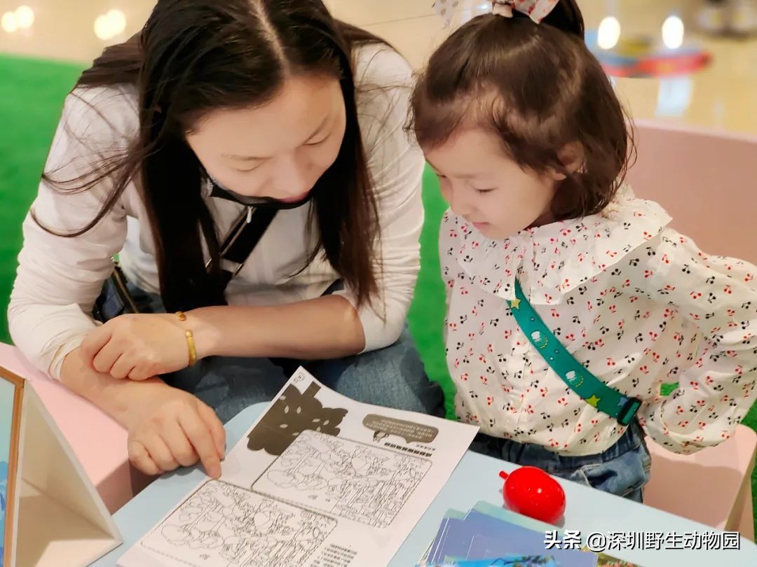 聆听奇趣虫语，发现自然之美