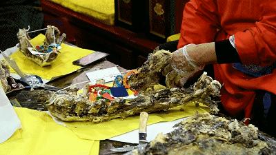 蒙古族小年祭火仪式,蒙古族祭火仪式一般几点开始