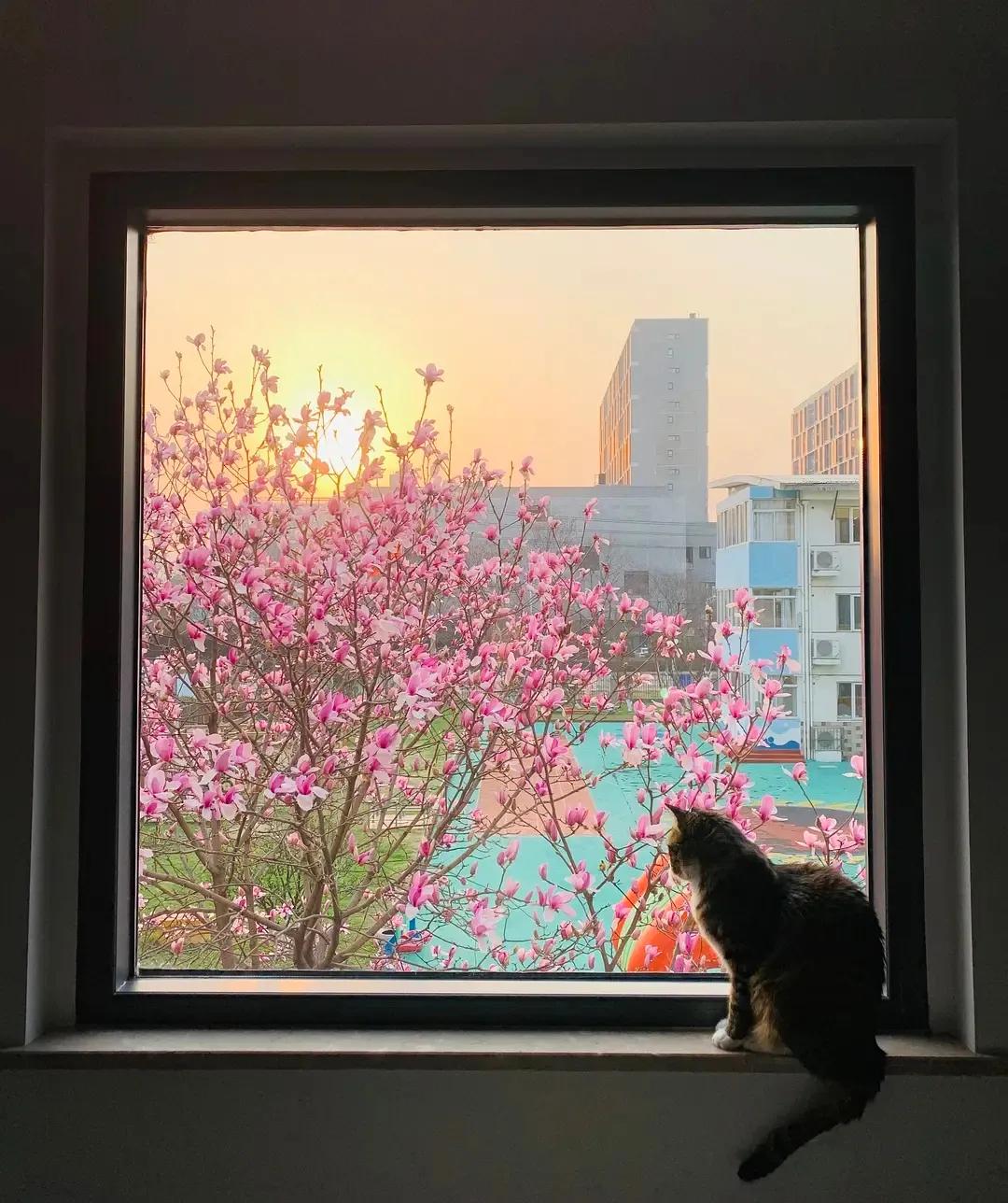 12个“无用”之美,第一个就被惊艳到了