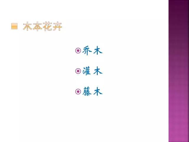 花卉大全500种观叶植物名称,1332种常见花卉植物图谱