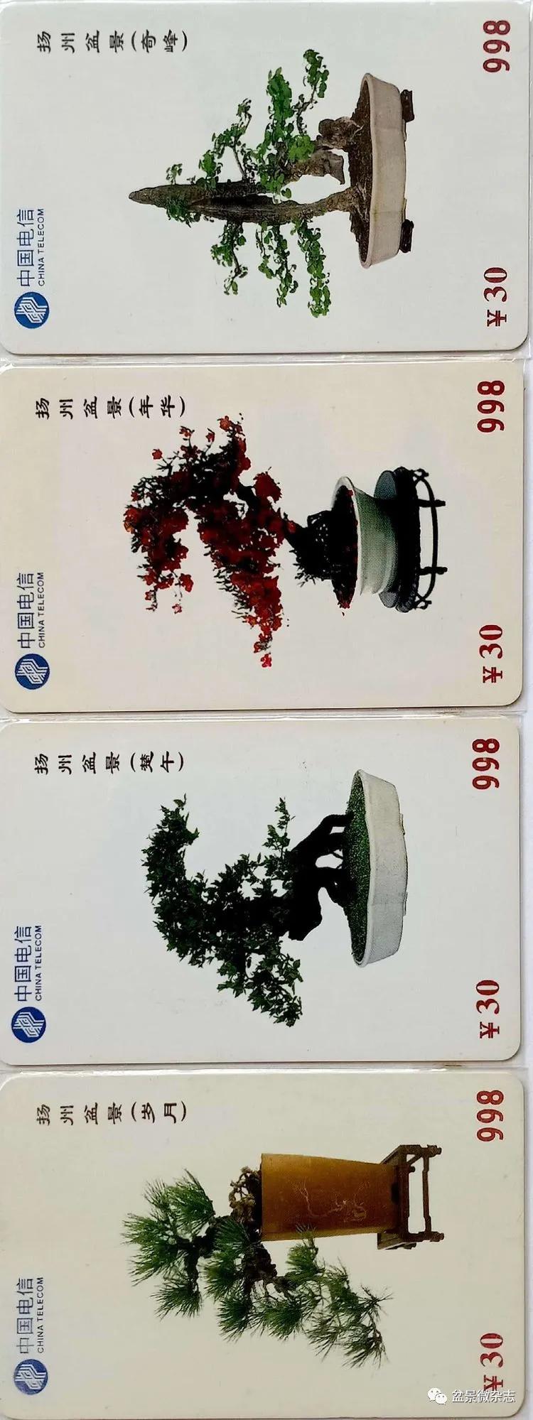 鐩嗘櫙鑱旂郴鐢佃瘽鍙风爜,涓鐩嗘櫙鑱旂郴鏂瑰紡