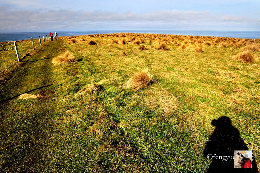 新西兰有哪些景观,新西兰风景最好的地方在哪里