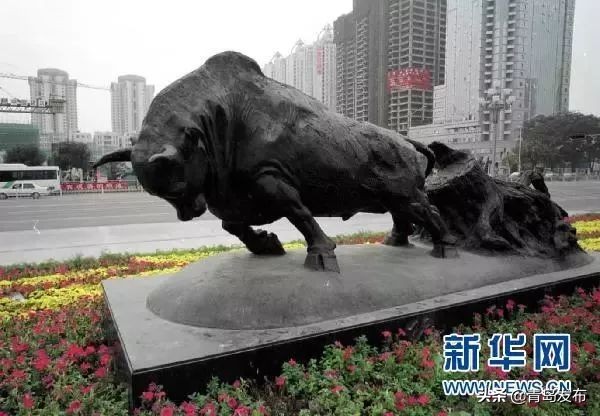 青岛与深圳全方位综合对比,青岛全方位对比成都