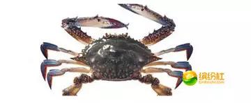 舟山4月份海鲜攻略,舟山海鲜代加工攻略