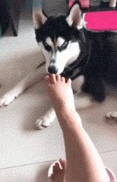 鞋子除臭简单有效的方法,鞋子除臭小妙招