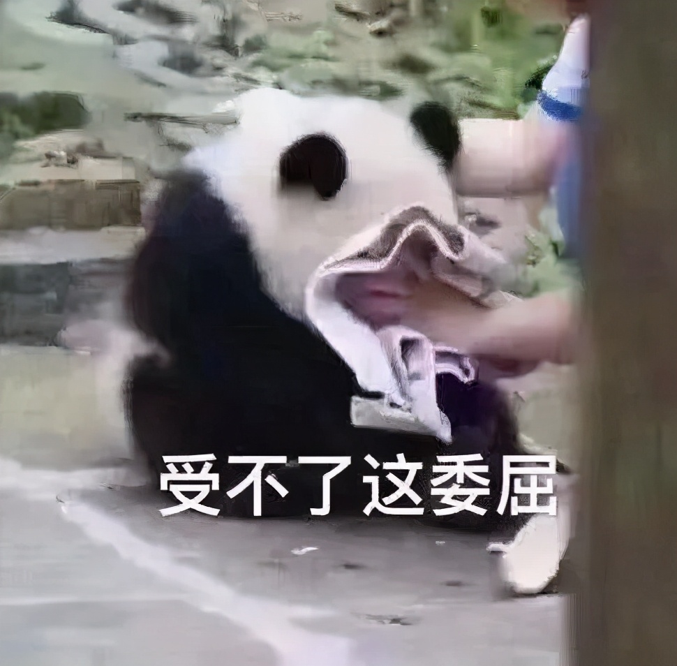 日看5000张图，打码师的日常究竟有多不堪？