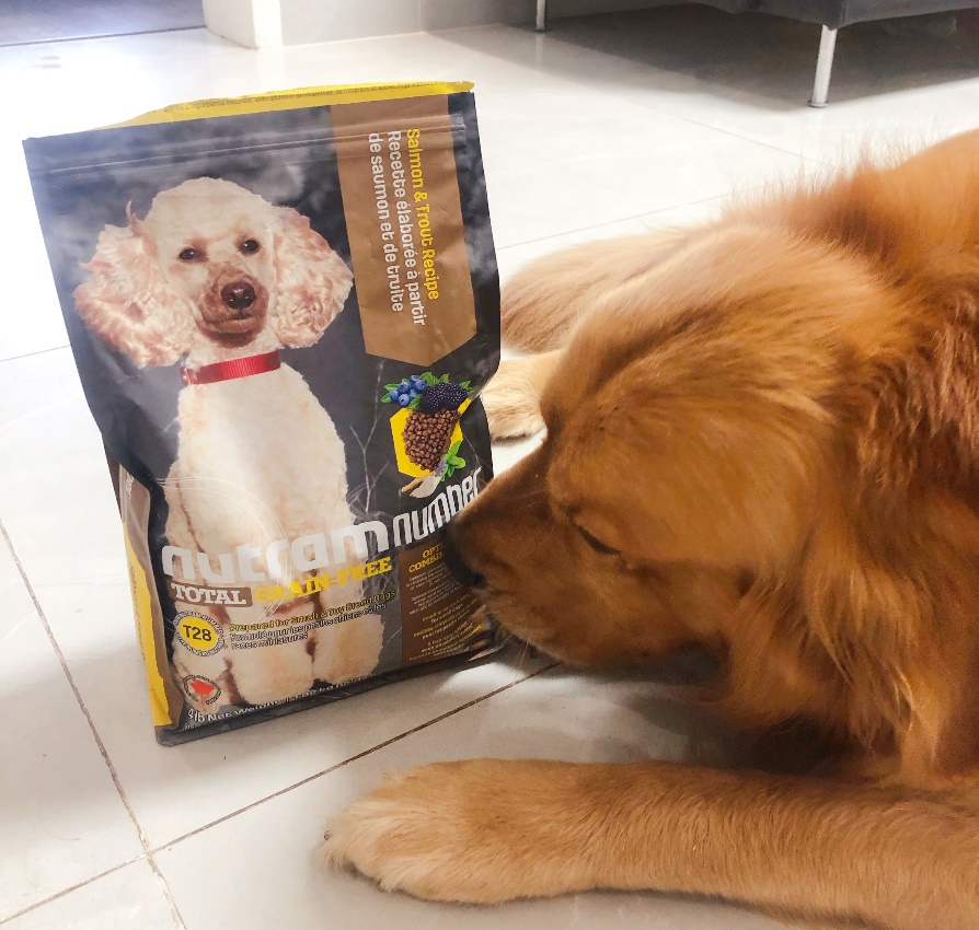 纽顿t27鸡肉狗粮为什么一直缺货,纽顿狗粮感受