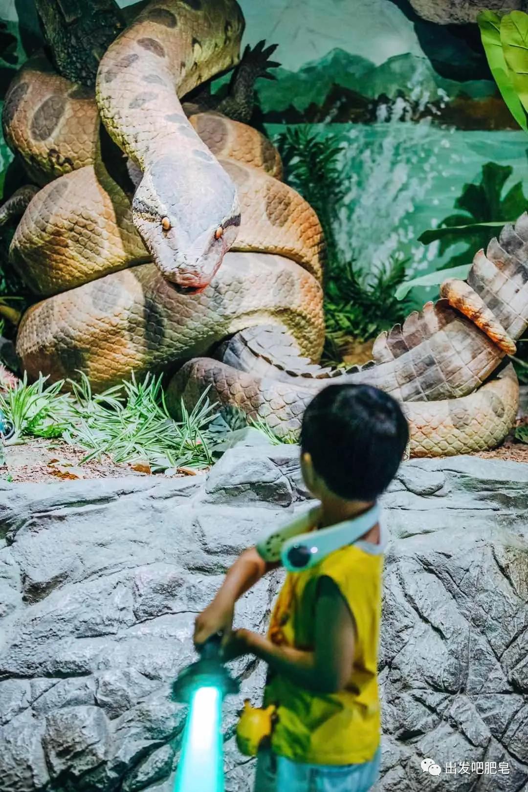 长隆飞鸟乐园长隆熊猫酒店怎么选,周一长隆野生动物园游玩攻略