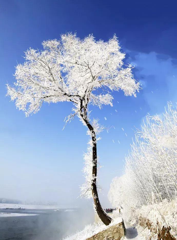 开眼｜为你揭秘“火华社长”代言的“冬之景”！