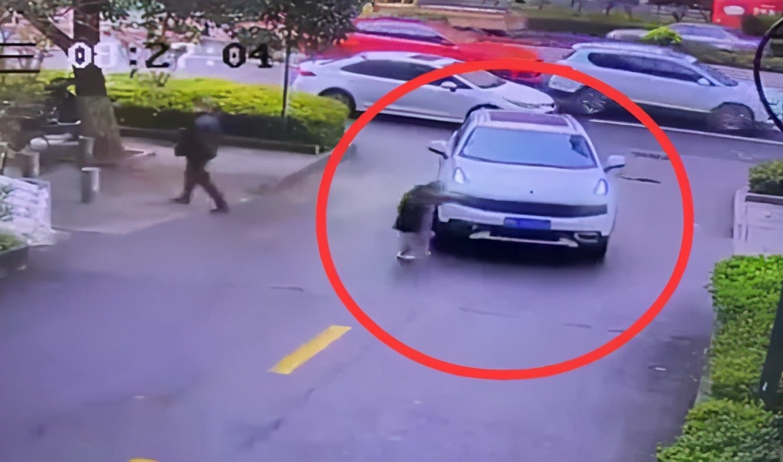 惊险男孩奔跑过马路险酿成事故,毕节男孩过马路突然奔跑被撞