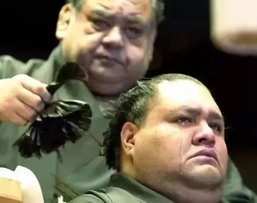 为什么日本人喜欢看两个胖胖“打架”？