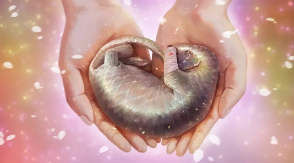 李时珍未解之谜,李时珍历史记载