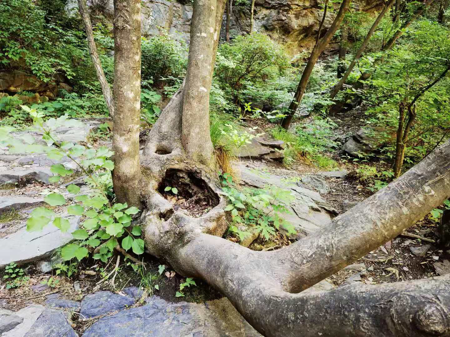 打卡北京双龙峡风景区,十里溪流百潭瀑布,北方小九寨名不虚传