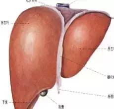 40到56岁生命高危期怎么办,多少人没熬过45-55岁这段危险期
