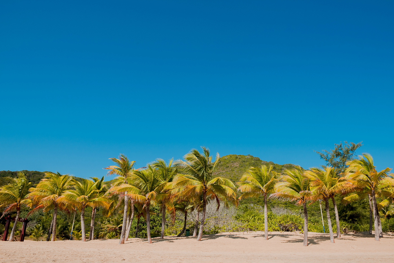 你在南方瑟瑟发抖，我在这里遛娃、看猴、赶海····