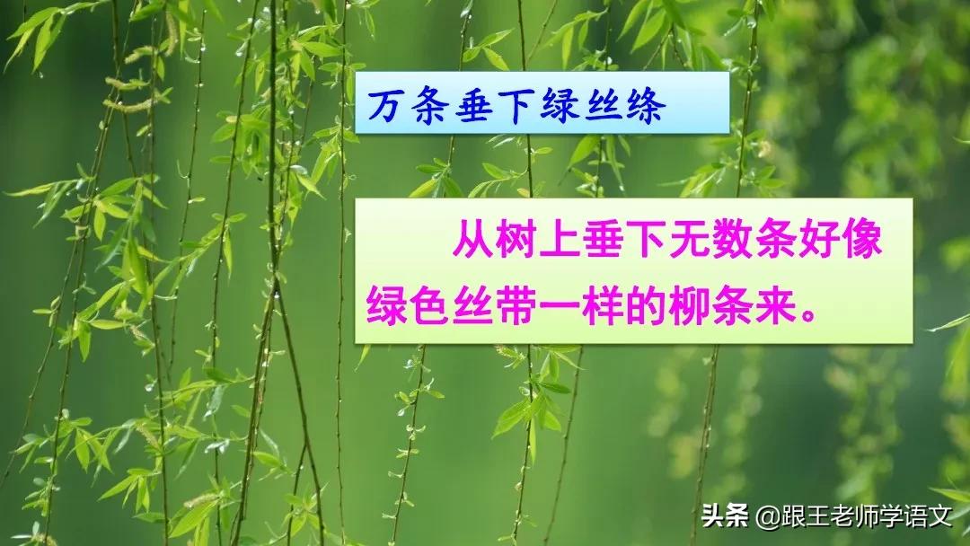 部编二年级下册语文古诗二首预习,二年级下册语文古诗二首知识讲解