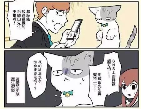 假如自己变成猫是什么体验,从人类变成猫是什么体验