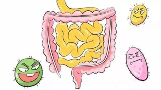 排便有鲜血是怎么回事,排便有少量血迹