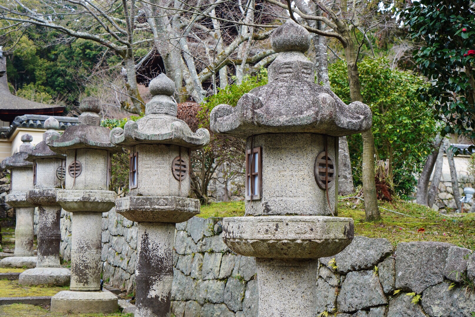 2019日本赏樱最新攻略|大津小众路线私家推荐