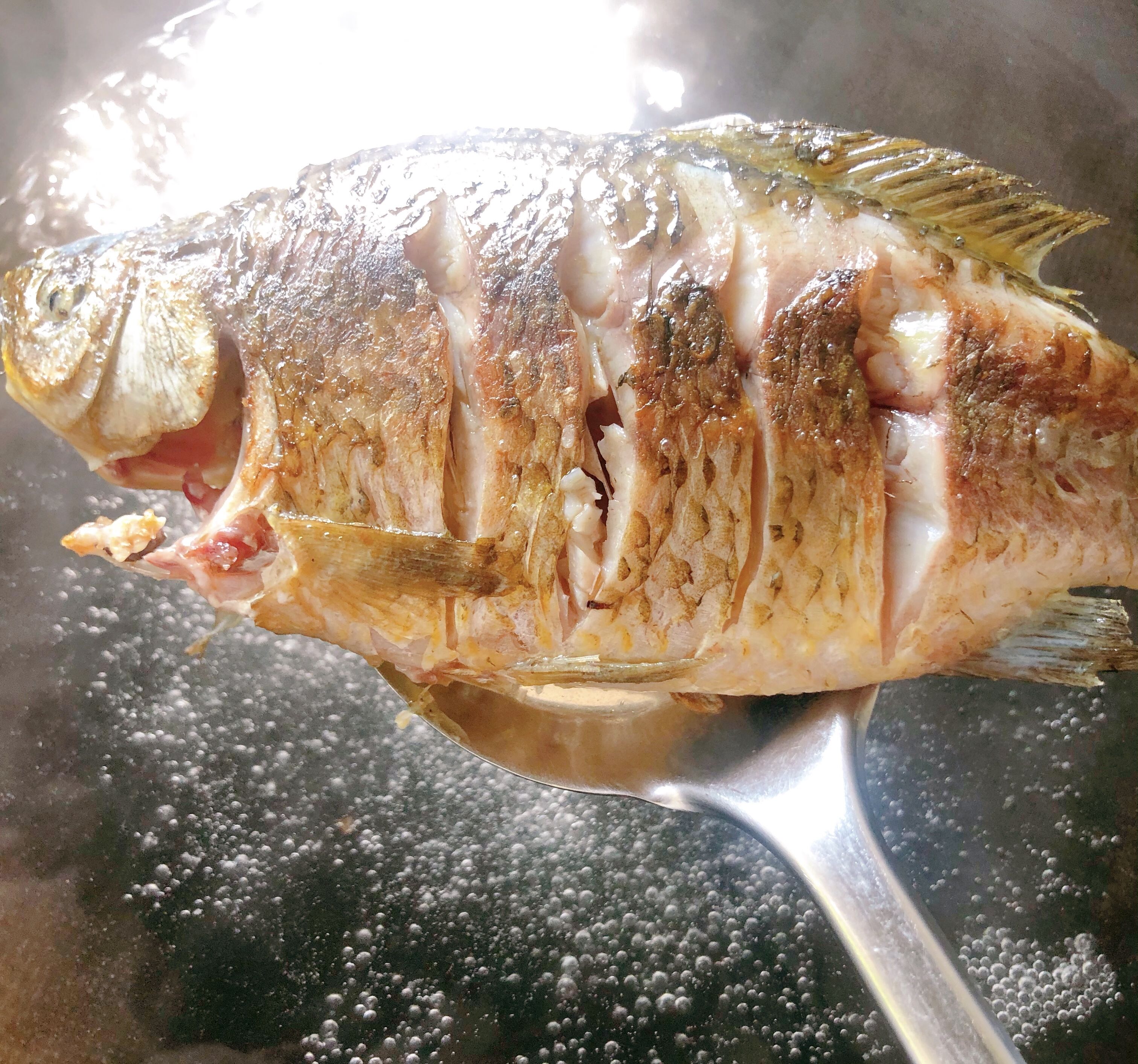 鲫鱼汤怎么熬才能变奶白色,鲫鱼汤不白的补救方法