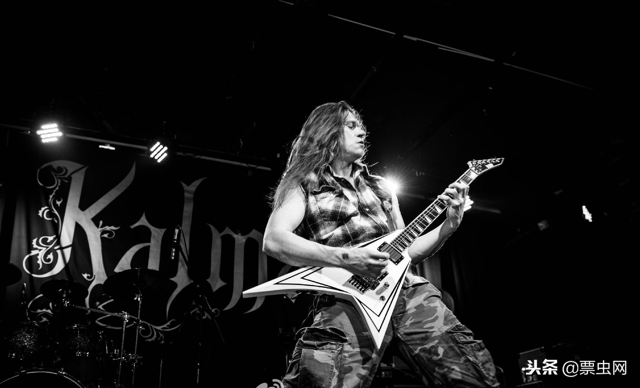 沼泽之王全集,沼泽之王kalmah