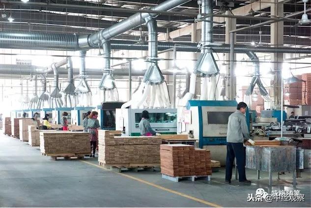 寻商,浔商——无木生财崛起绿色产业「三」