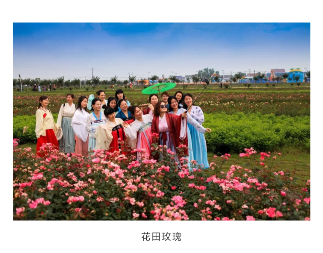 岳阳惠众农庄菜单,岳阳惠众农业研学基地