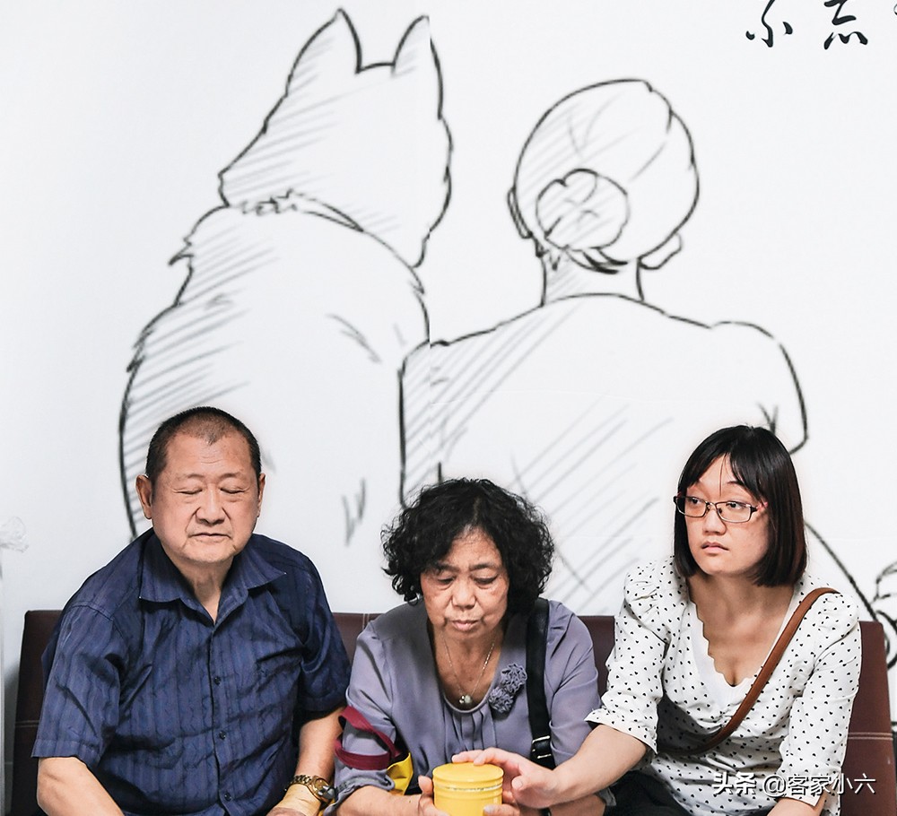 为逝去的狗狗举办葬礼,让狗狗安乐死