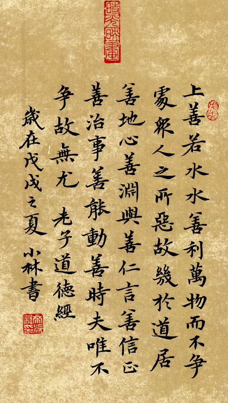 放学回家作文,走在放学回家的路上作文