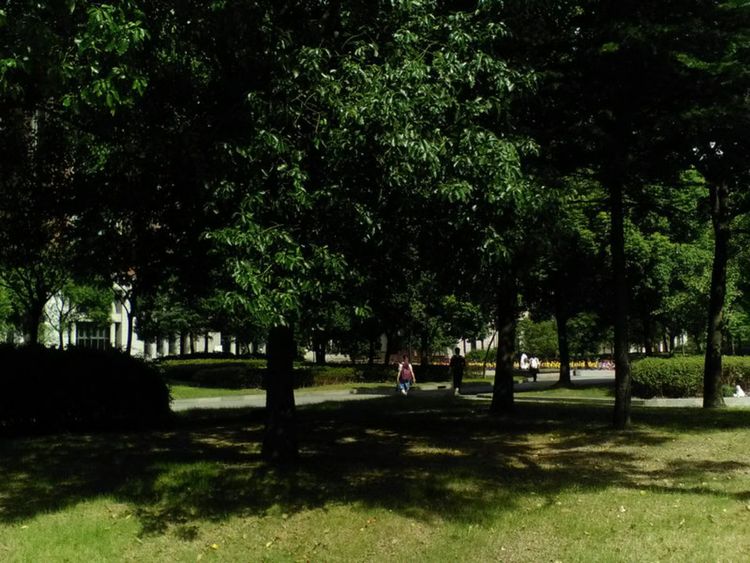 走进上海中科院,上海理工大学历史