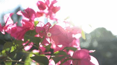 顺德人均100的农庄,顺德最顶级农庄