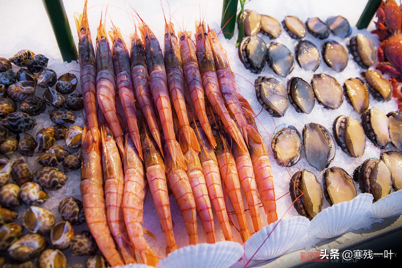 海鲜自助超级贵,海鲜自助为什么贵