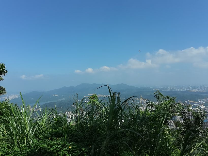 如何成为一位优秀的小说作家,如何成为一名优秀的作家