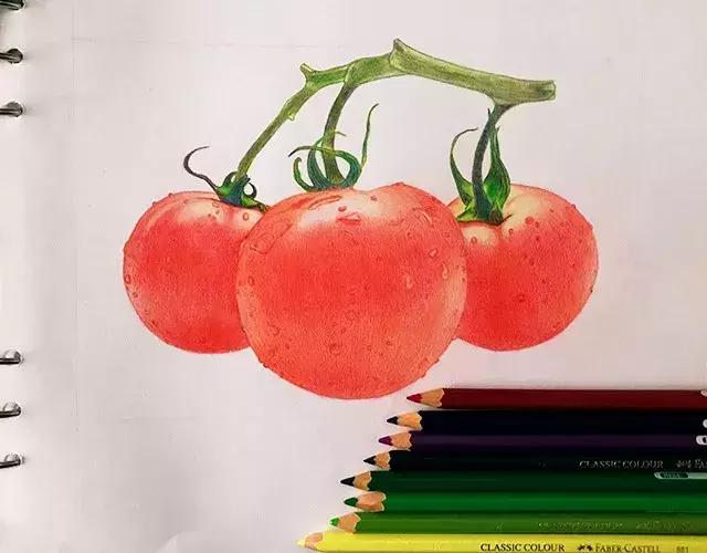 儿童彩铅画番茄,彩铅画写生番茄